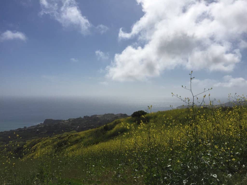 Coastal Canyon Trails