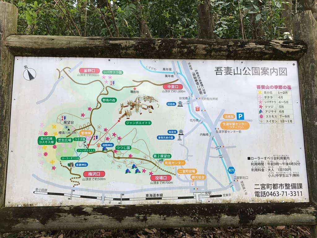 Rabbit Garden & Playground