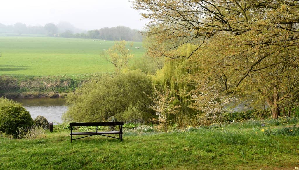 Natural Play Area