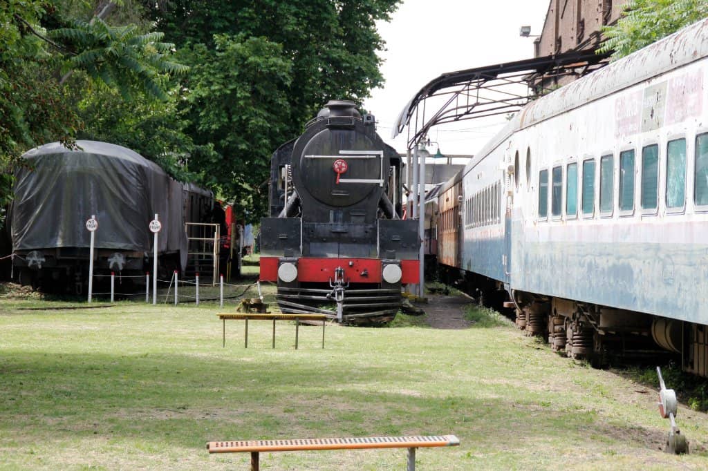 Mini Train Rides