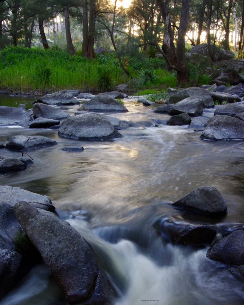 Vertical photo