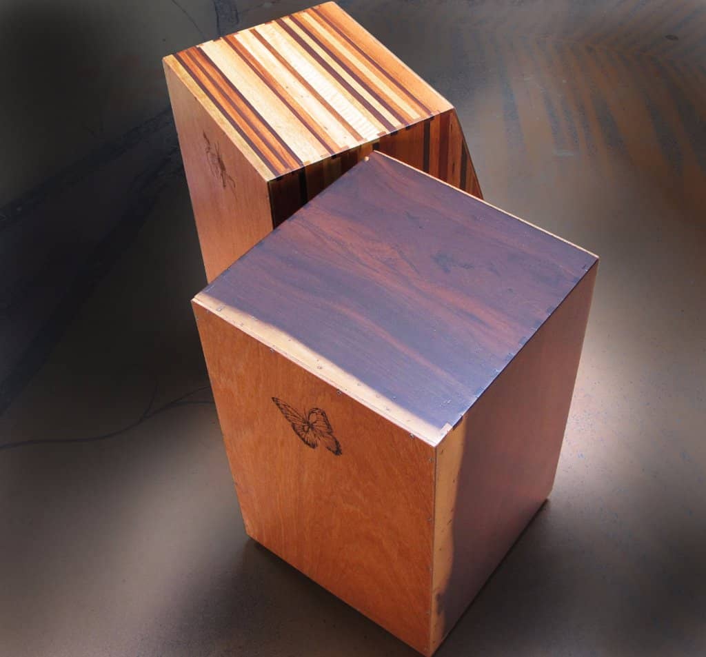 Lush Plant Collection