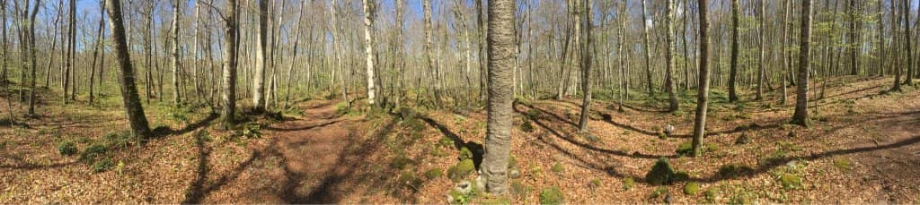 La Fageda Dairy & Jams