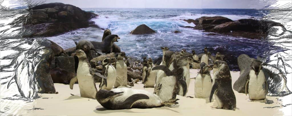 Educational Park Setting