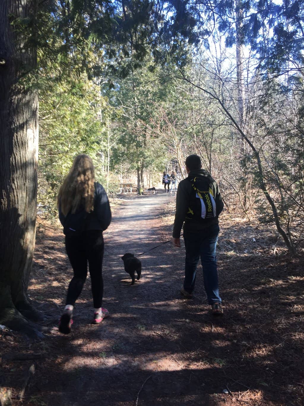 Mature Tall Trees
