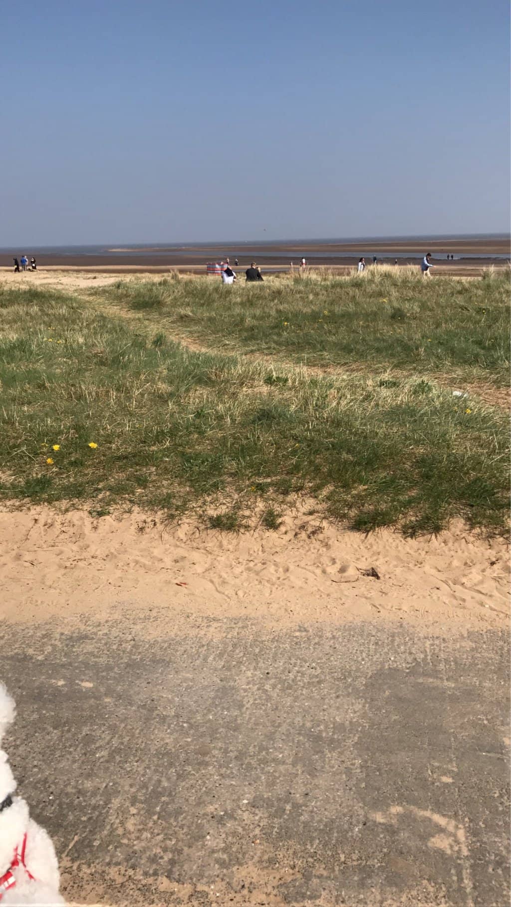 Seaside Ambiance