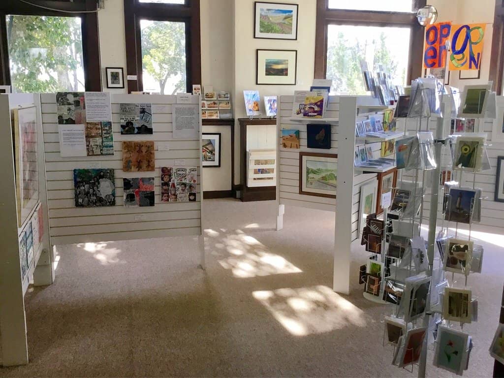 Local Artist Showcases
