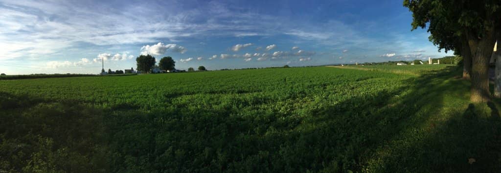 Famous Rotisserie Chicken & Beef