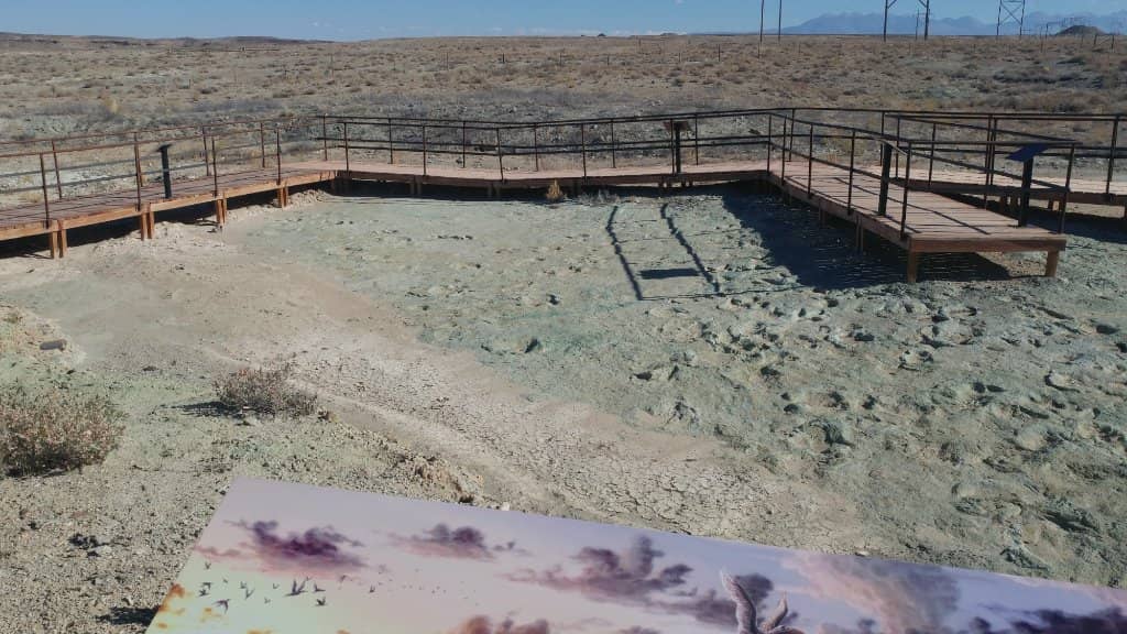 Interpretive Signage