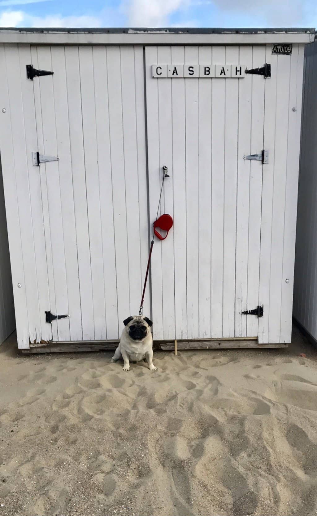 Sea Sports Adventures