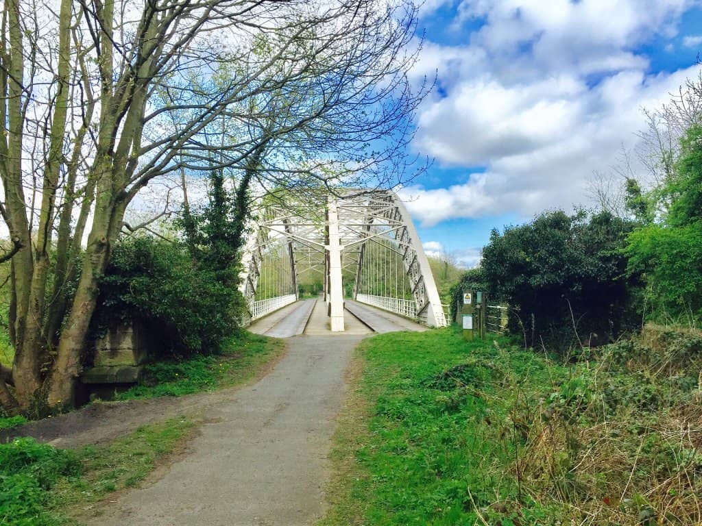 Vertical photo