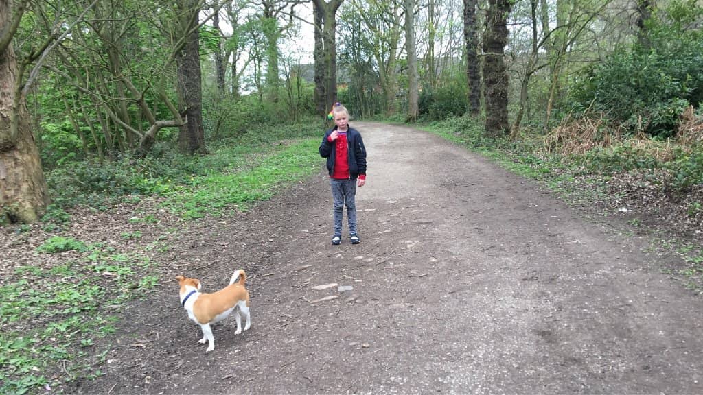 Opulent Hall Interiors
