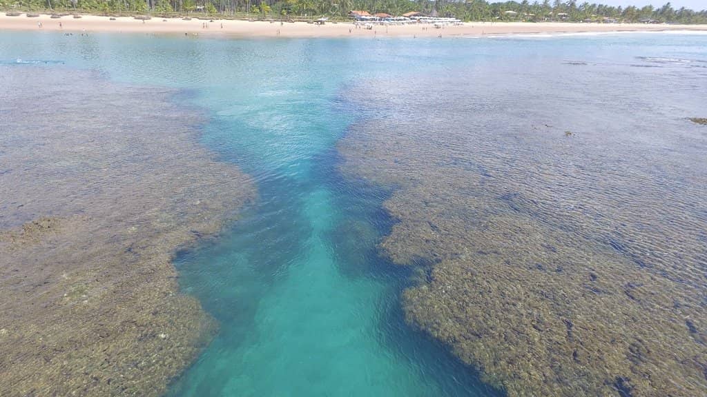 Coral Reefs