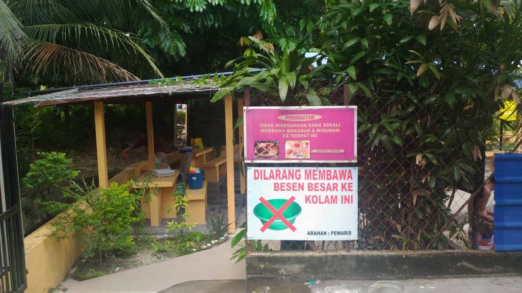 Roadside Burger Stall