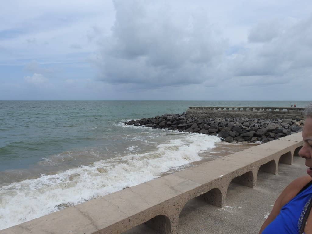 Vertical photo