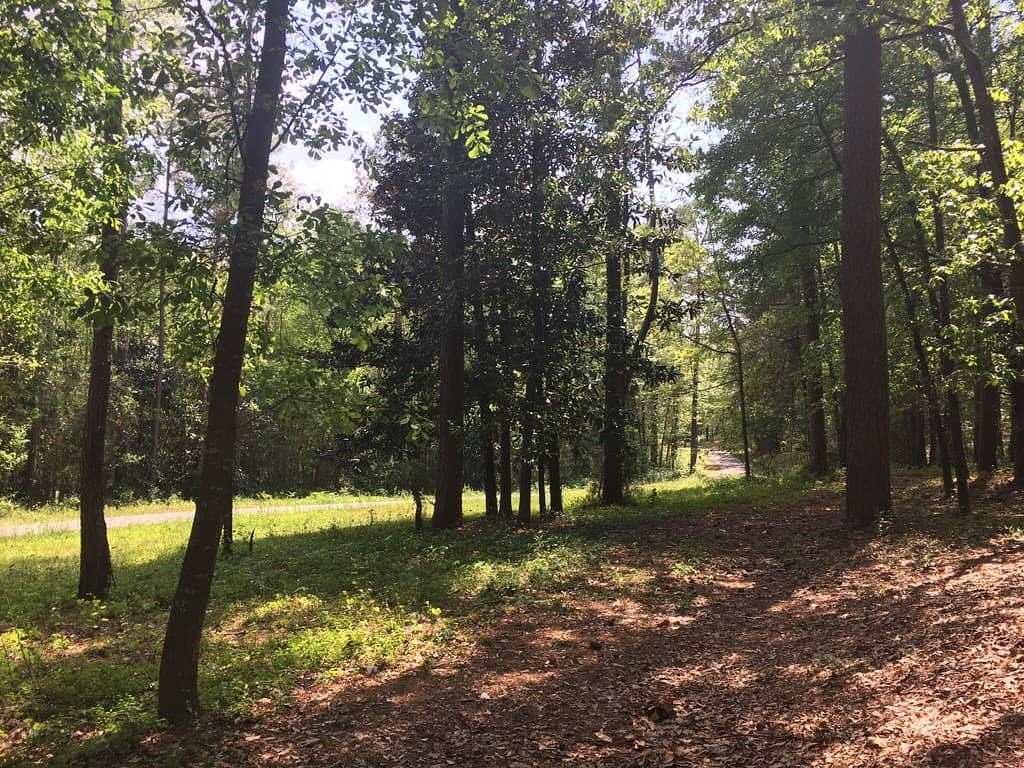Nature Trails
