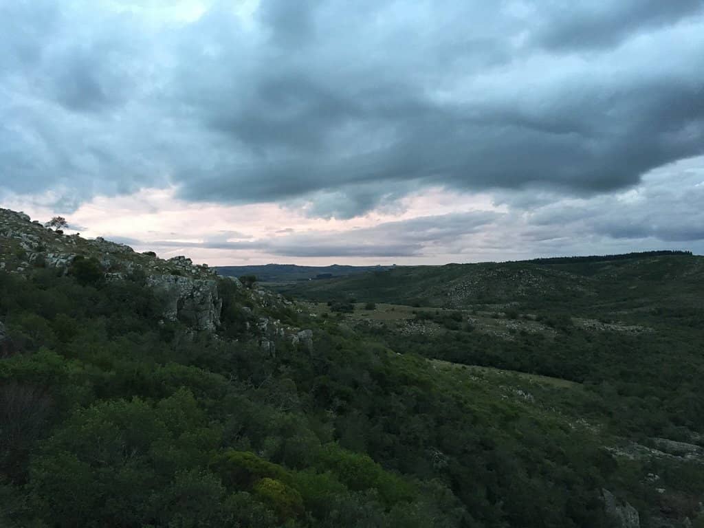 Family-Friendly Paths