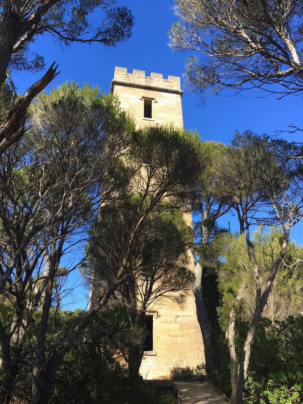 Vertical photo