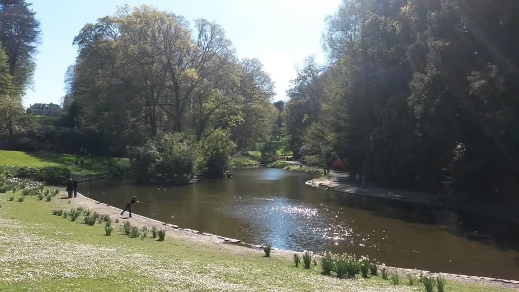 The Serene Pond