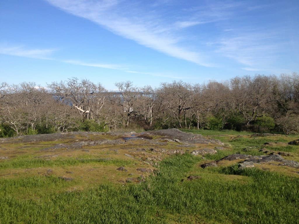 Recreational Facilities