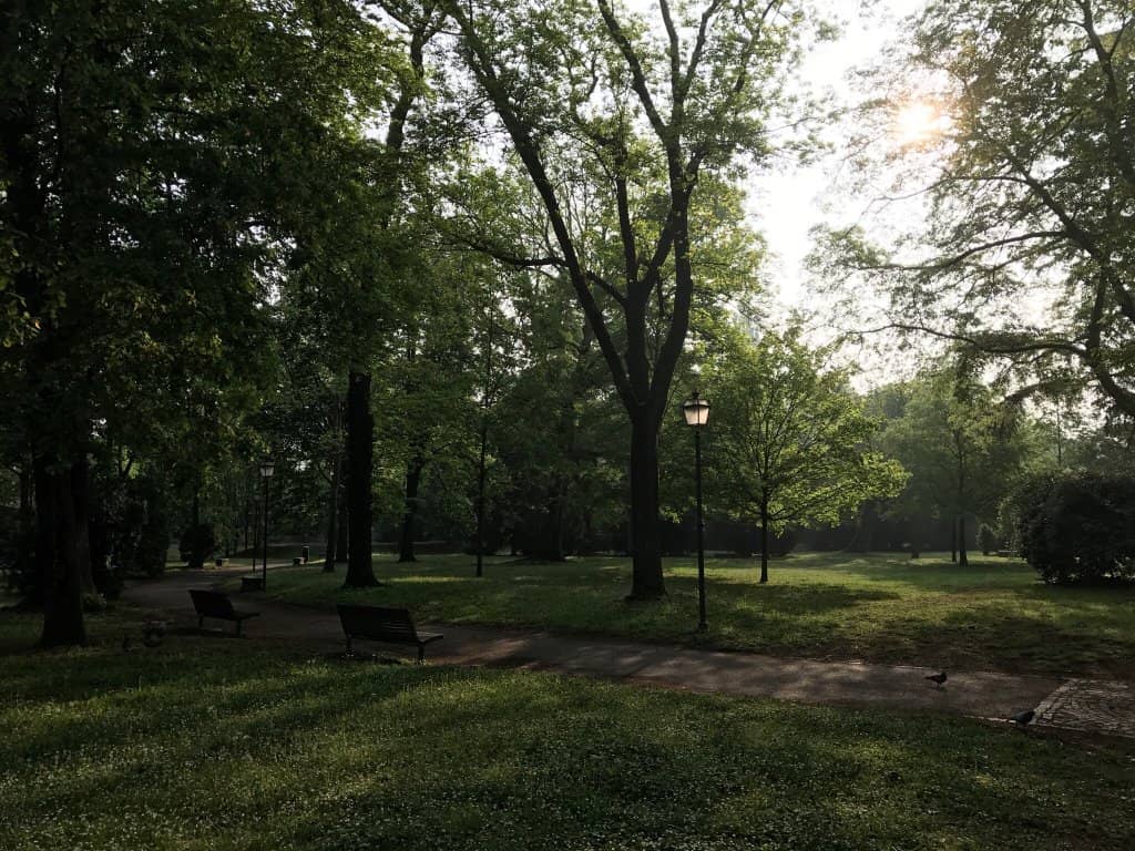 Peaceful Benches