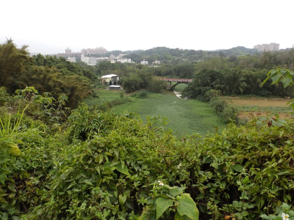 Mountain & Temple Backdrop