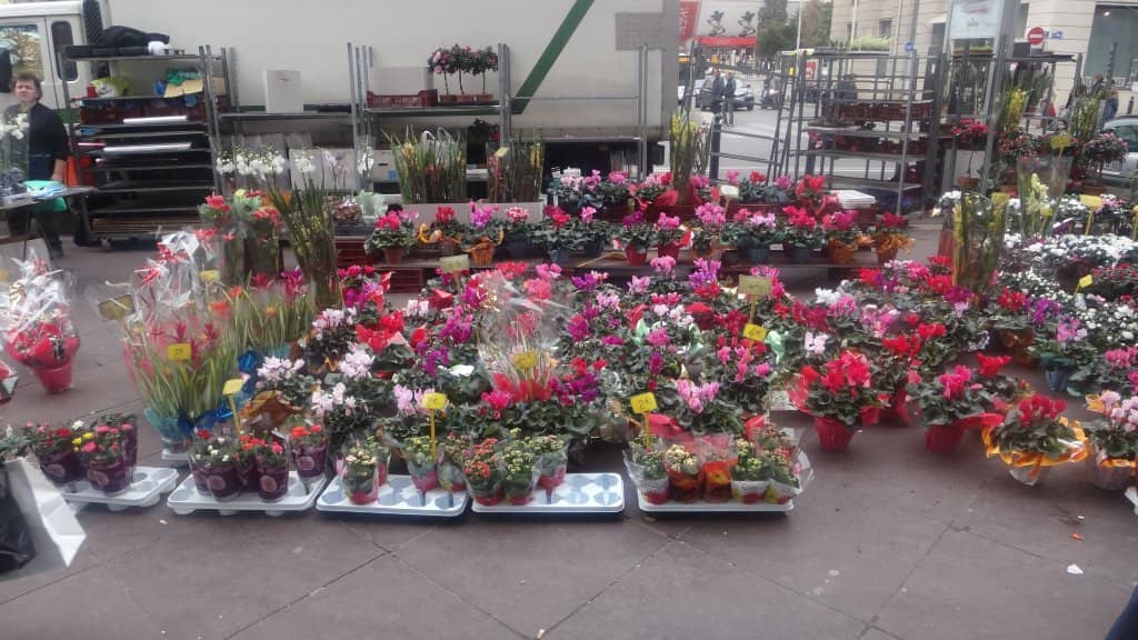 Vibrant Spice and Produce Stalls