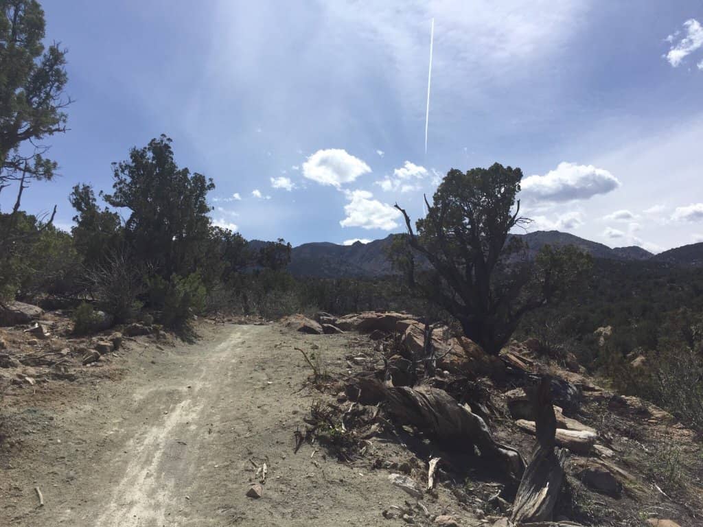 Hiking Trails