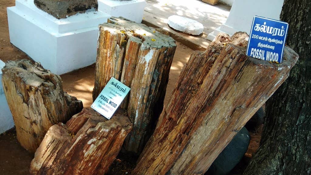 French Colonial Relics