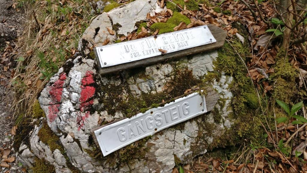 Waldbachstrub Waterfall