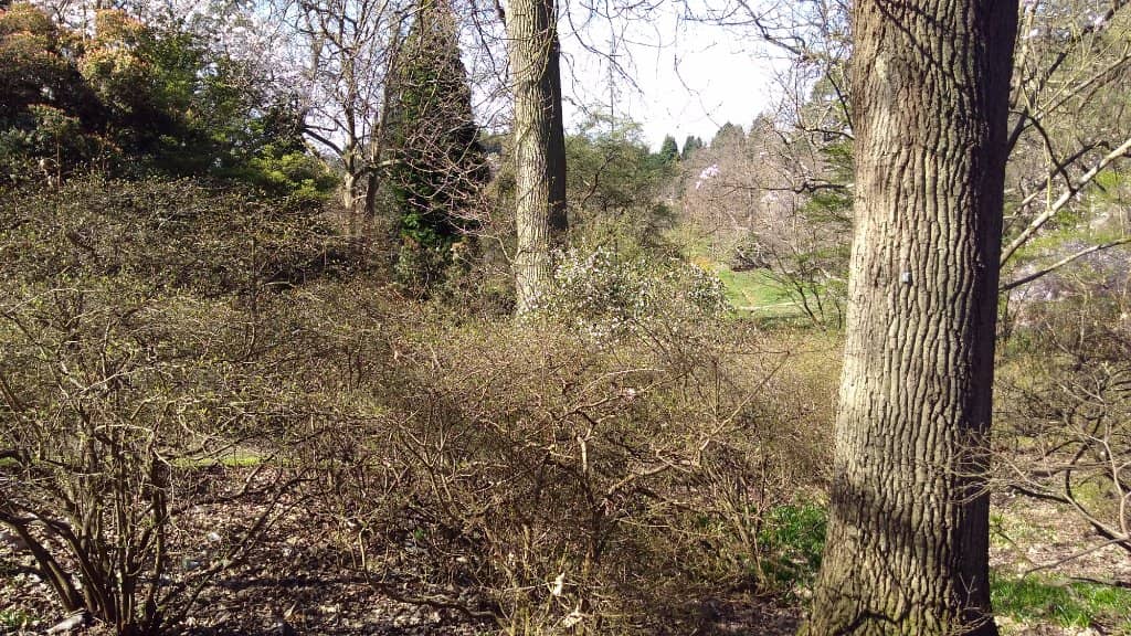 Sun Pavilion & Colonnade