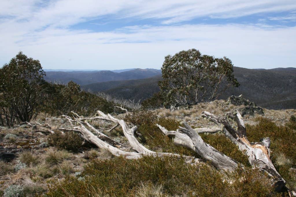 Mount Tennent Hike