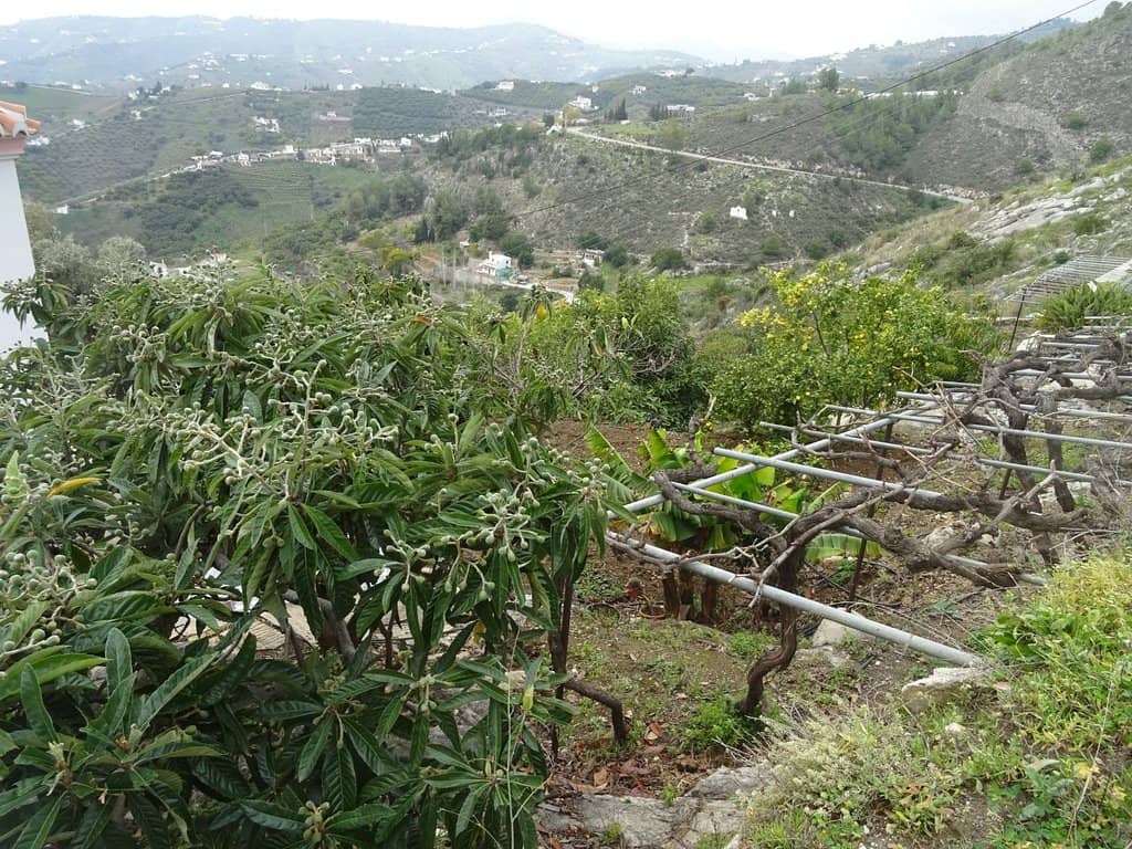 Scenic Hike