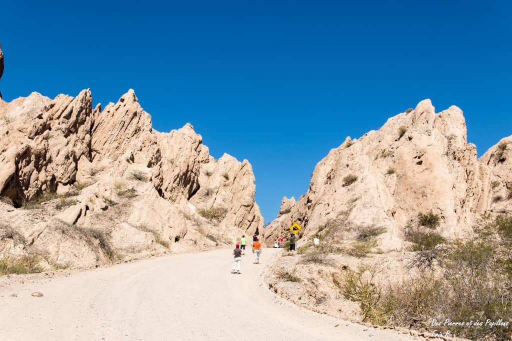 Mirador El Ventisquero