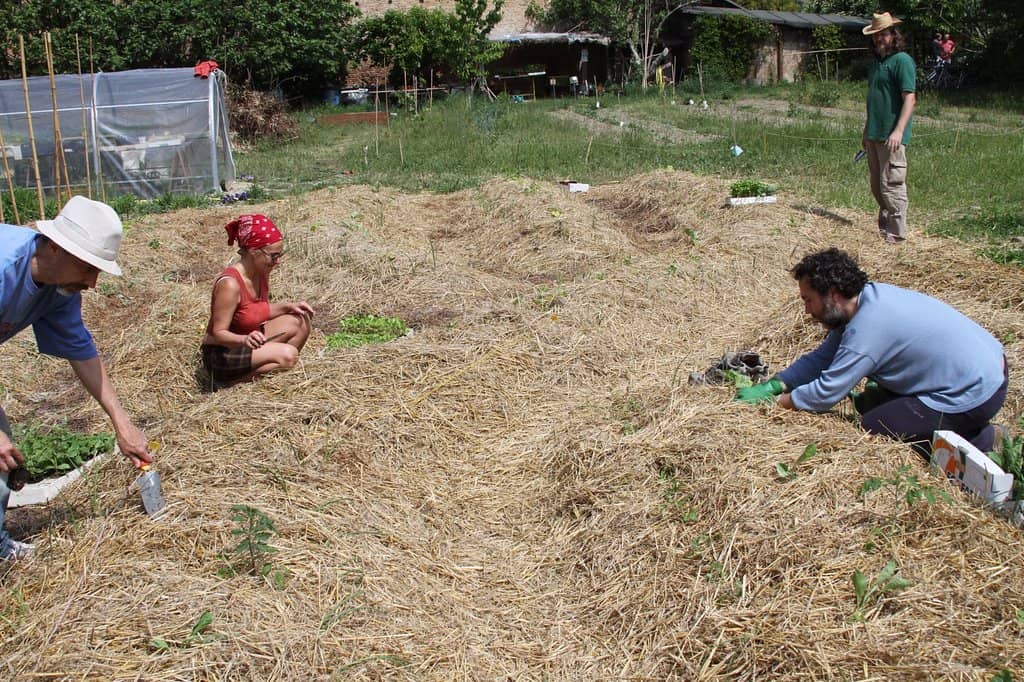 Corso Ercole I d'Este