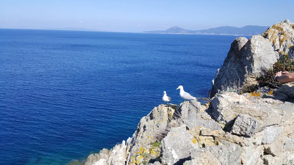 La Nave Snorkeling Spot