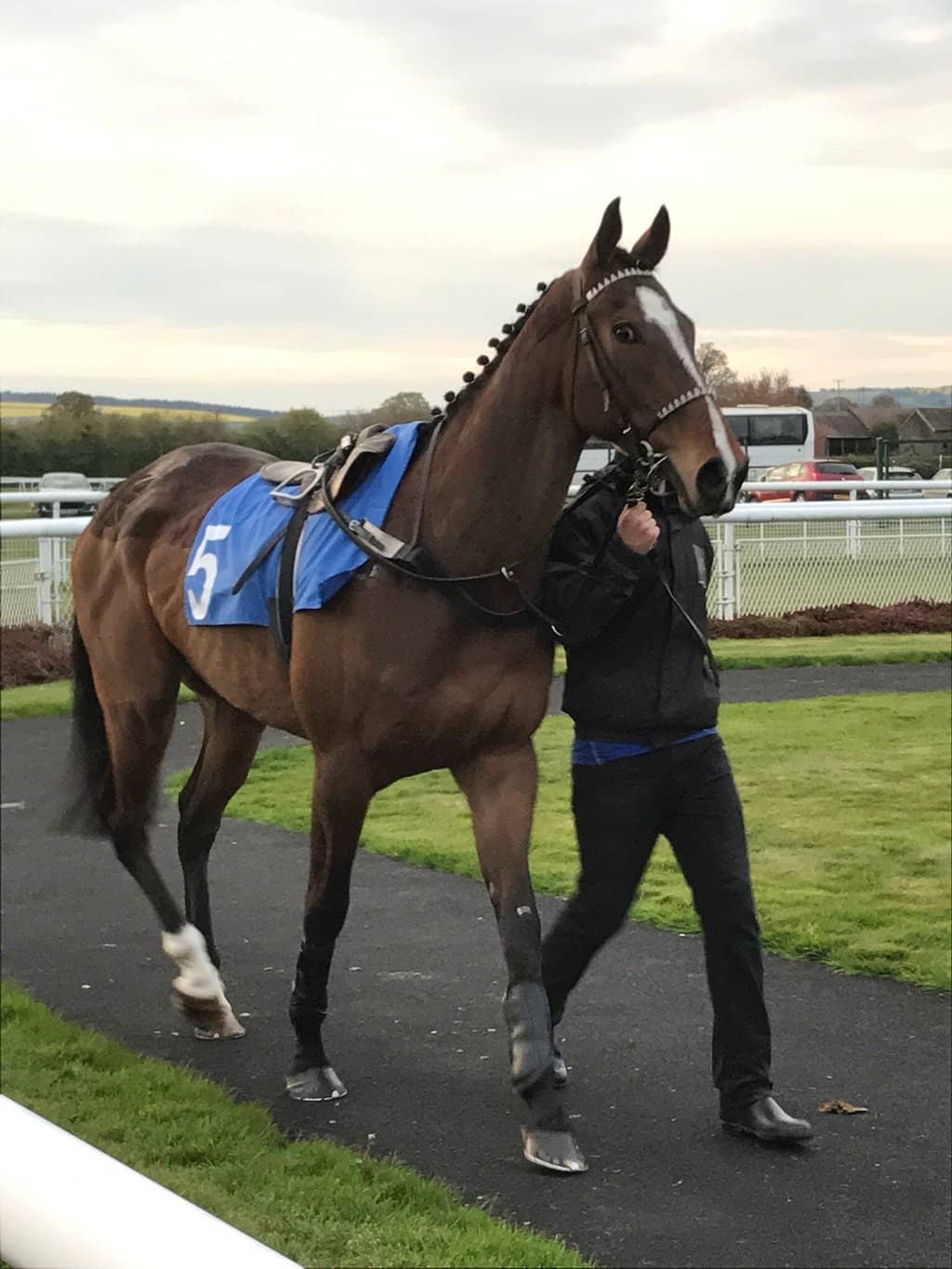 Local Brewery Pub