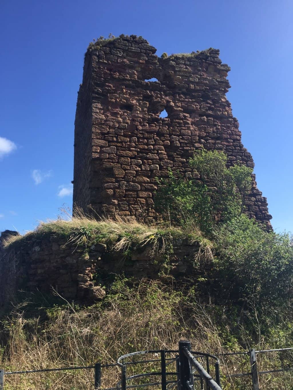 Seafield Tower Gardens