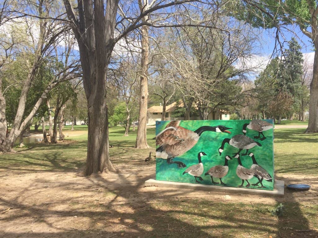 Disc Golf Course