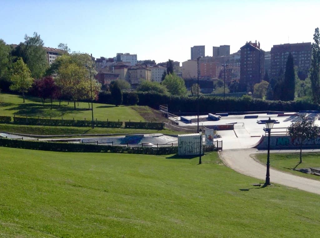 Fruit Trees & Blossoms