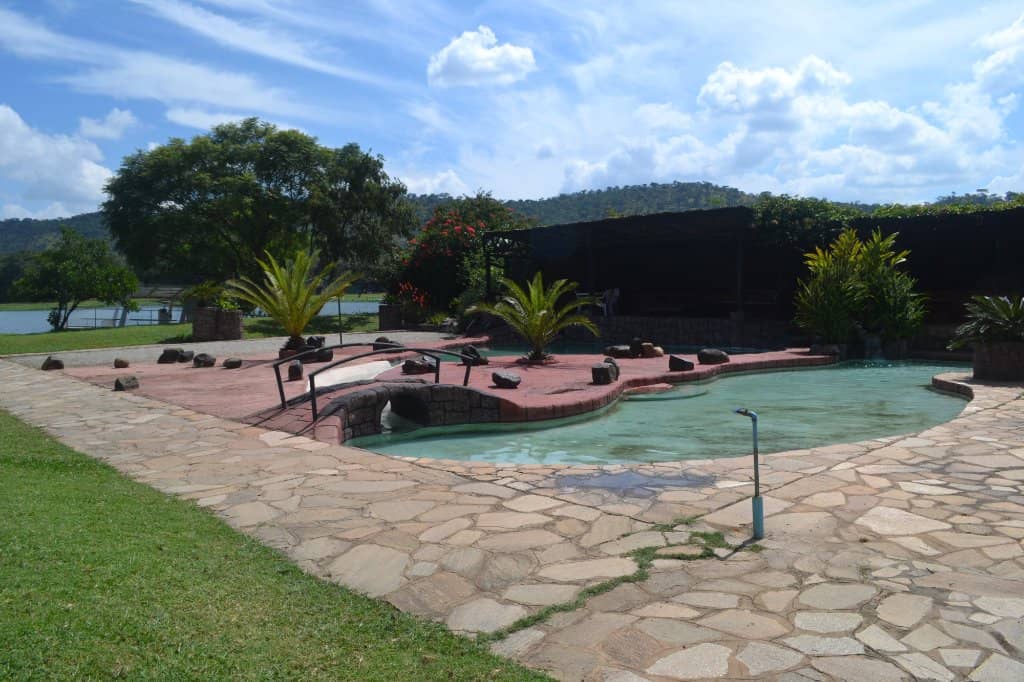 Black Eagle Sighting