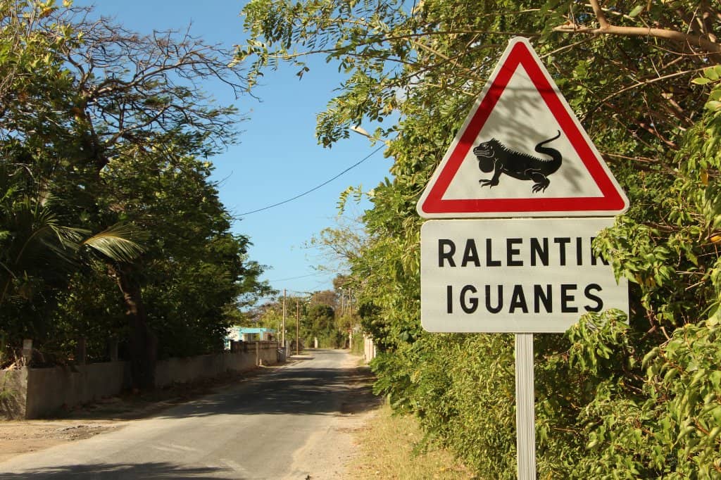 Mont La Désirade Hike