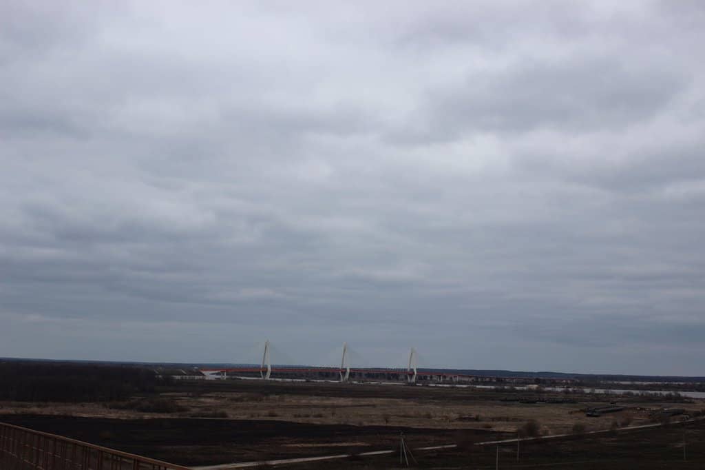 Lush Greenery & Wild Flora