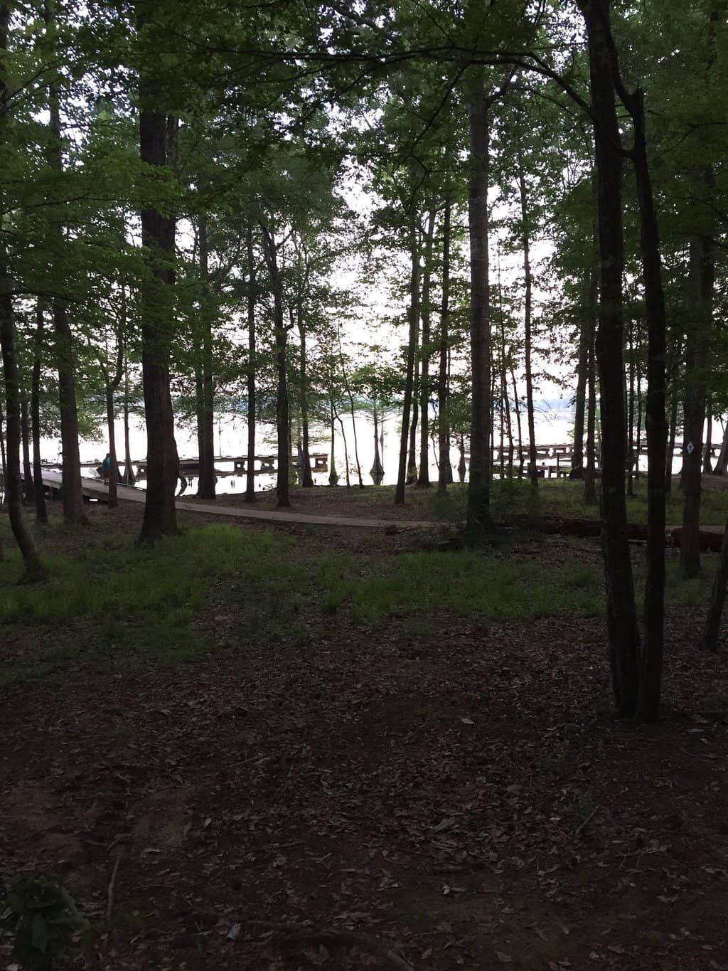 Cabin Getaways