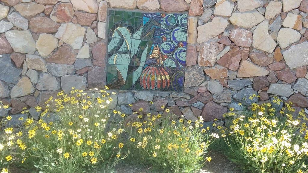 Desert Botanical Gardens