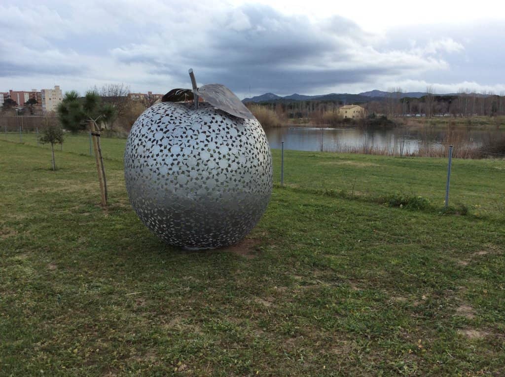 Scenic Walking Trails