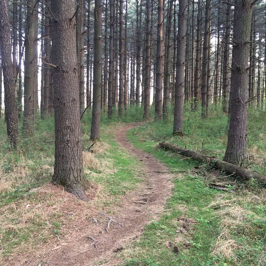 Hiking and Biking Trails