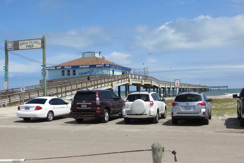 Pier Fishing Adventures