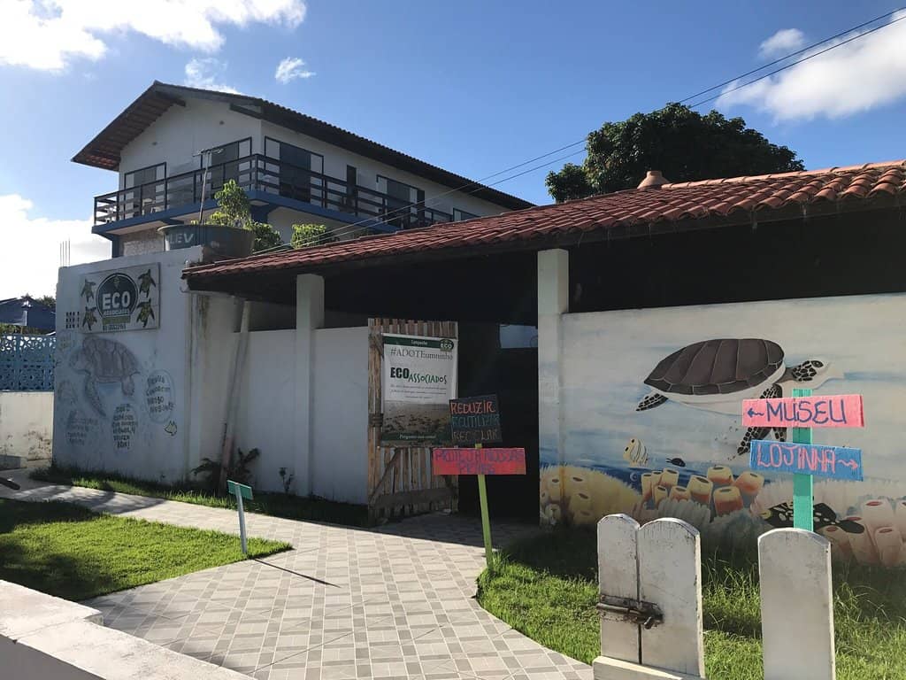 Meet Katia, the Mascot