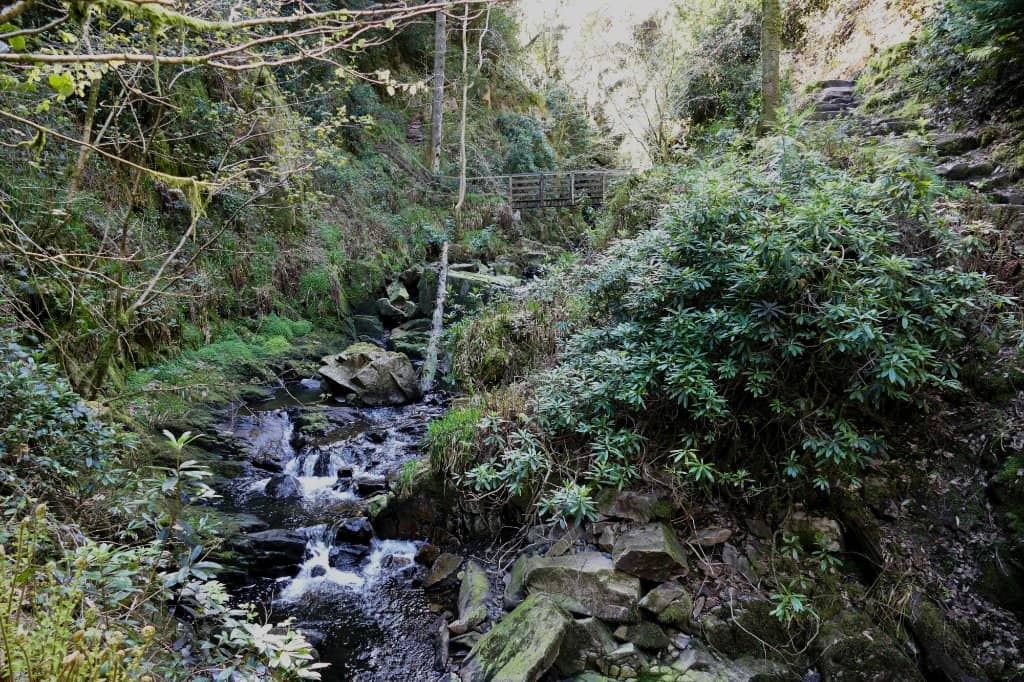 Woodland Walk